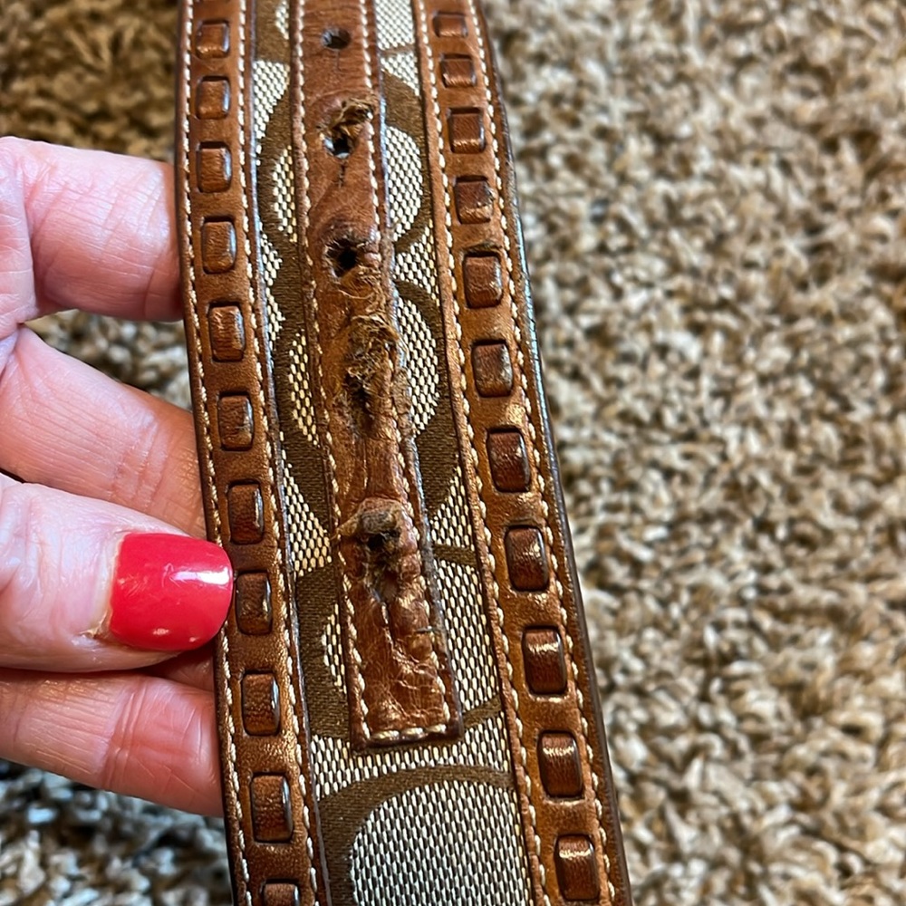 Coach Belt - Picture 5 of 6